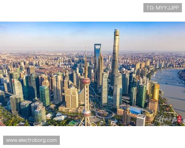 尊龙集团在金融服务领域的创新探索与市场表现