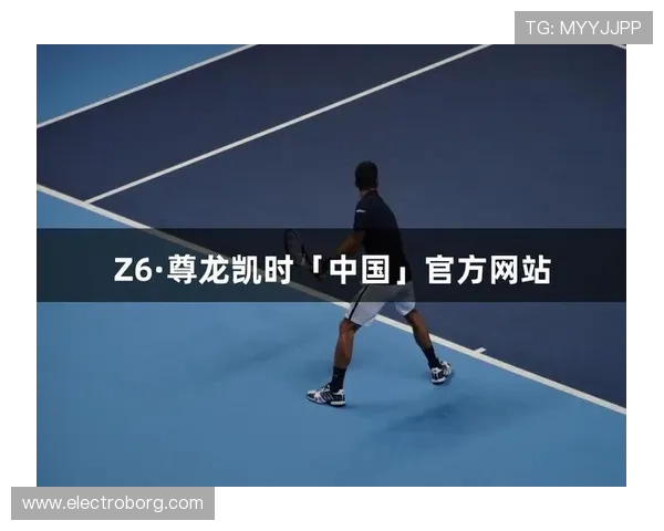 尊龙时凯官网入口：如何快速找到官方入口并避免假冒网站