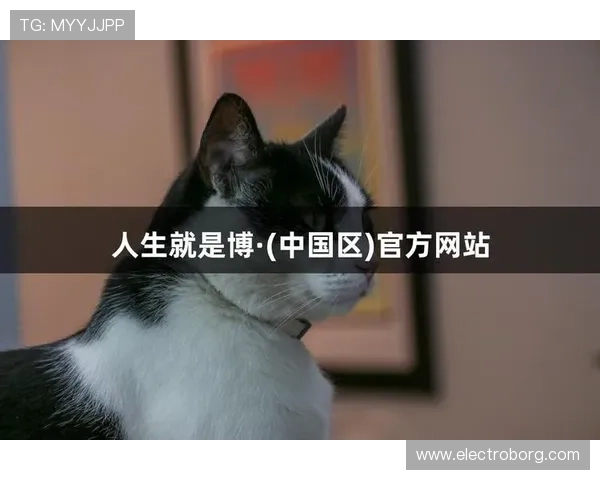 探索尊龙人生就是博登录入口的最佳使用技巧与经验分享