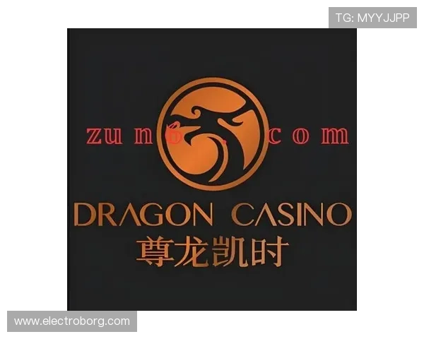 尊龙凯时网址登录线路最新优化方案确保玩家快速稳定登录平台